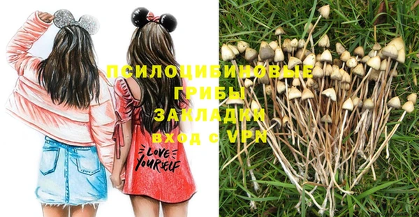 apvp Волоколамск