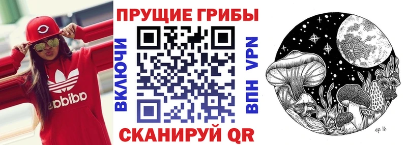 Купить где  Константиновск  Псилоцибиновые грибы Psilocybe 